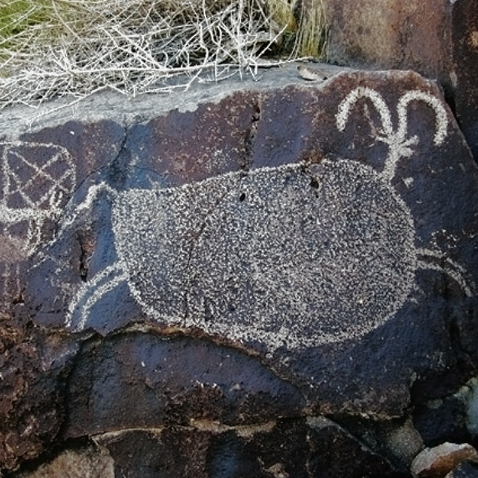 Rock Art Engravings Coso Range Petroglyphs Pictographs Bradshaw Foundation Archaeology Sheep Bighorn Cult California USA America United States Rockart