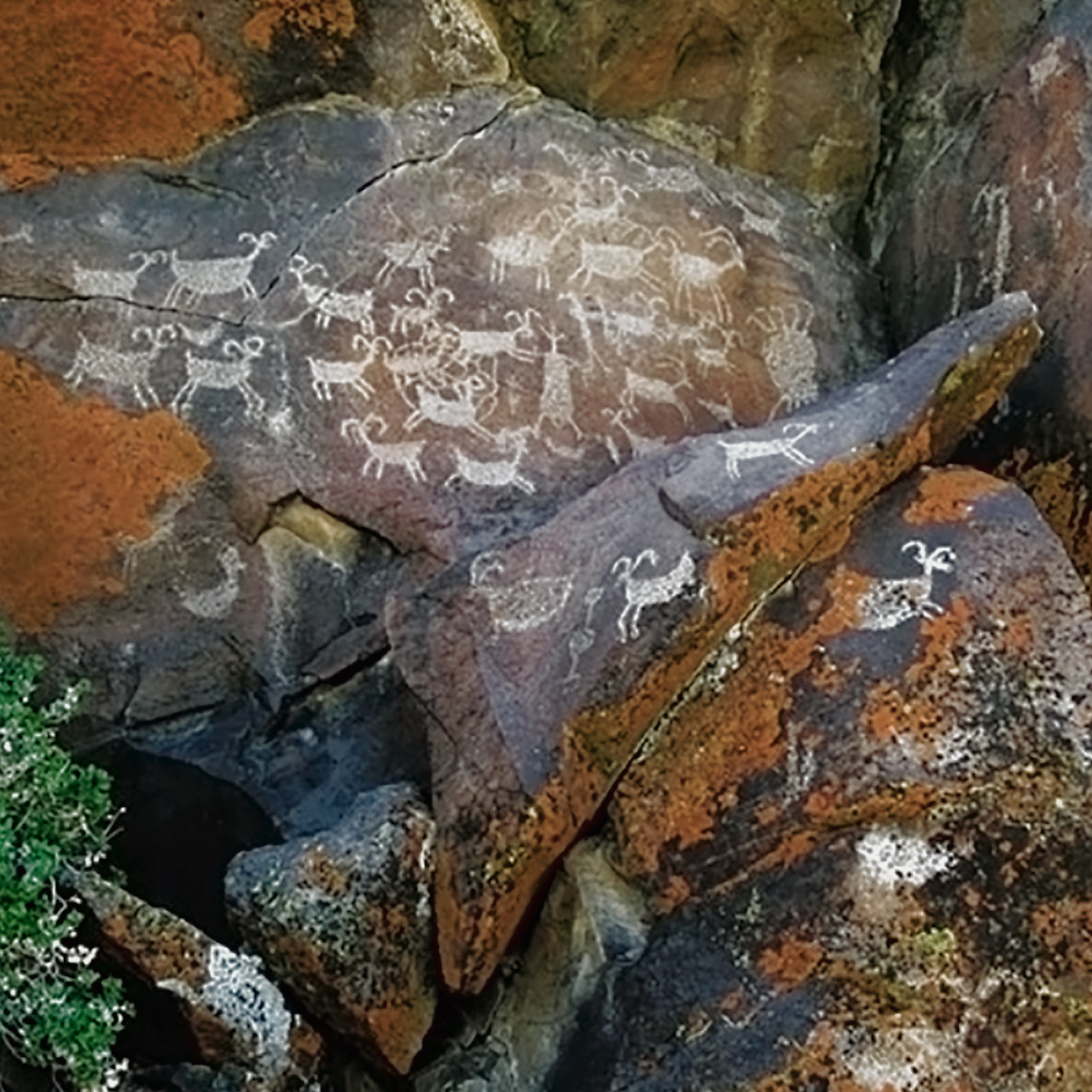 Rock Art Engravings Coso Range Petroglyphs Pictographs Bradshaw Foundation Archaeology Sheep Bighorn Cult California USA America United States Rockart