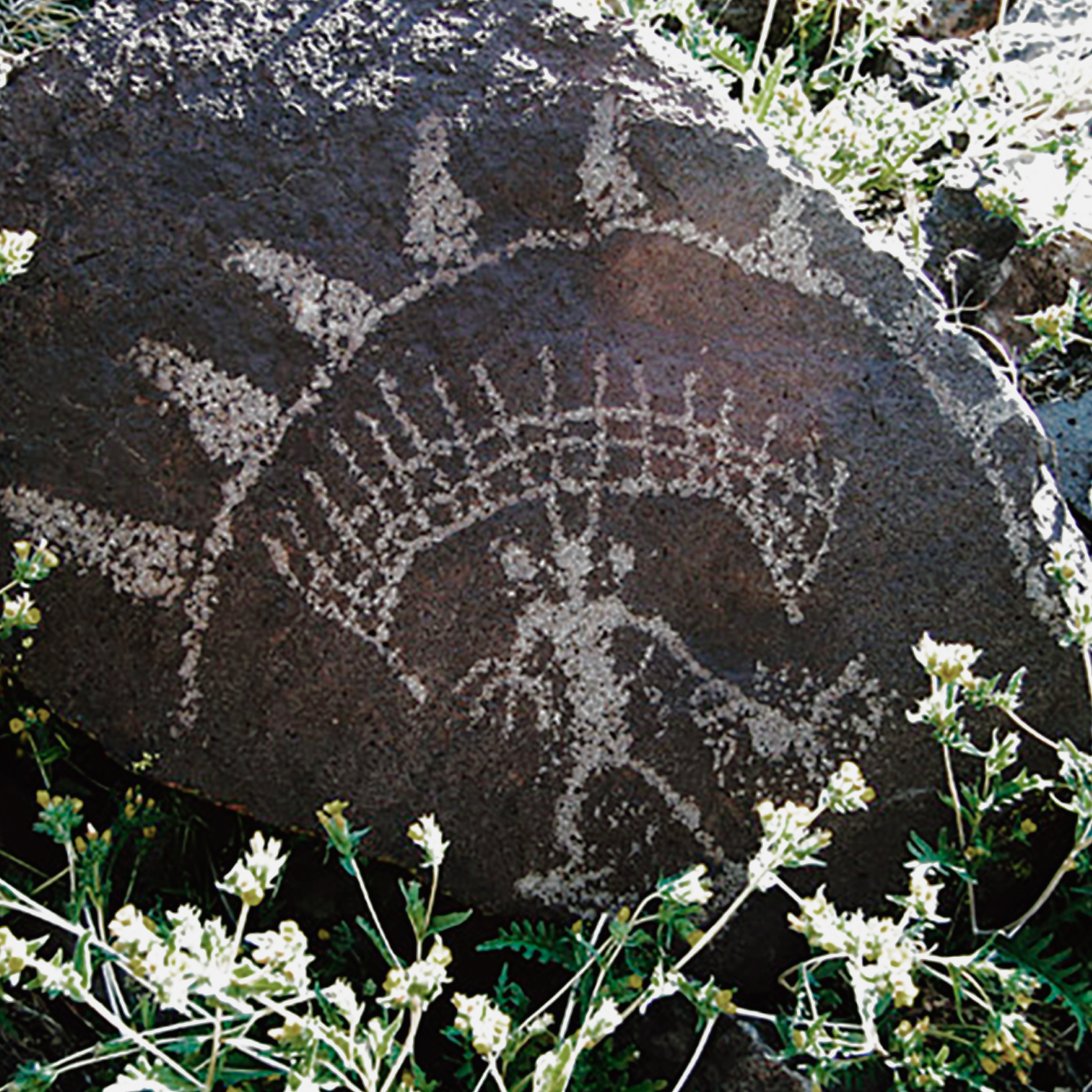 Rock Art Engravings Coso Range Petroglyphs Pictographs Bradshaw Foundation Archaeology Sheep Bighorn Cult California USA America United States Rockart