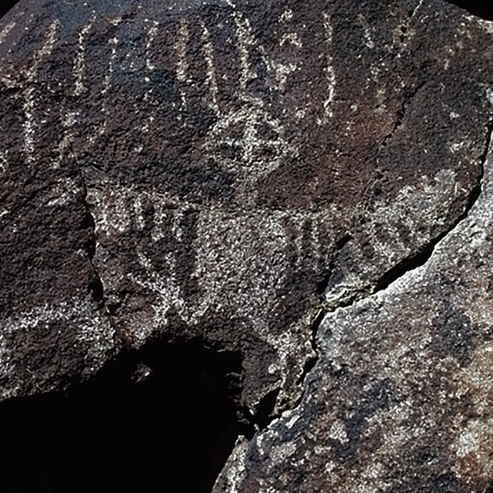 Rock Art Engravings Coso Range Petroglyphs Pictographs Bradshaw Foundation Archaeology Sheep Bighorn Cult California USA America United States Rockart