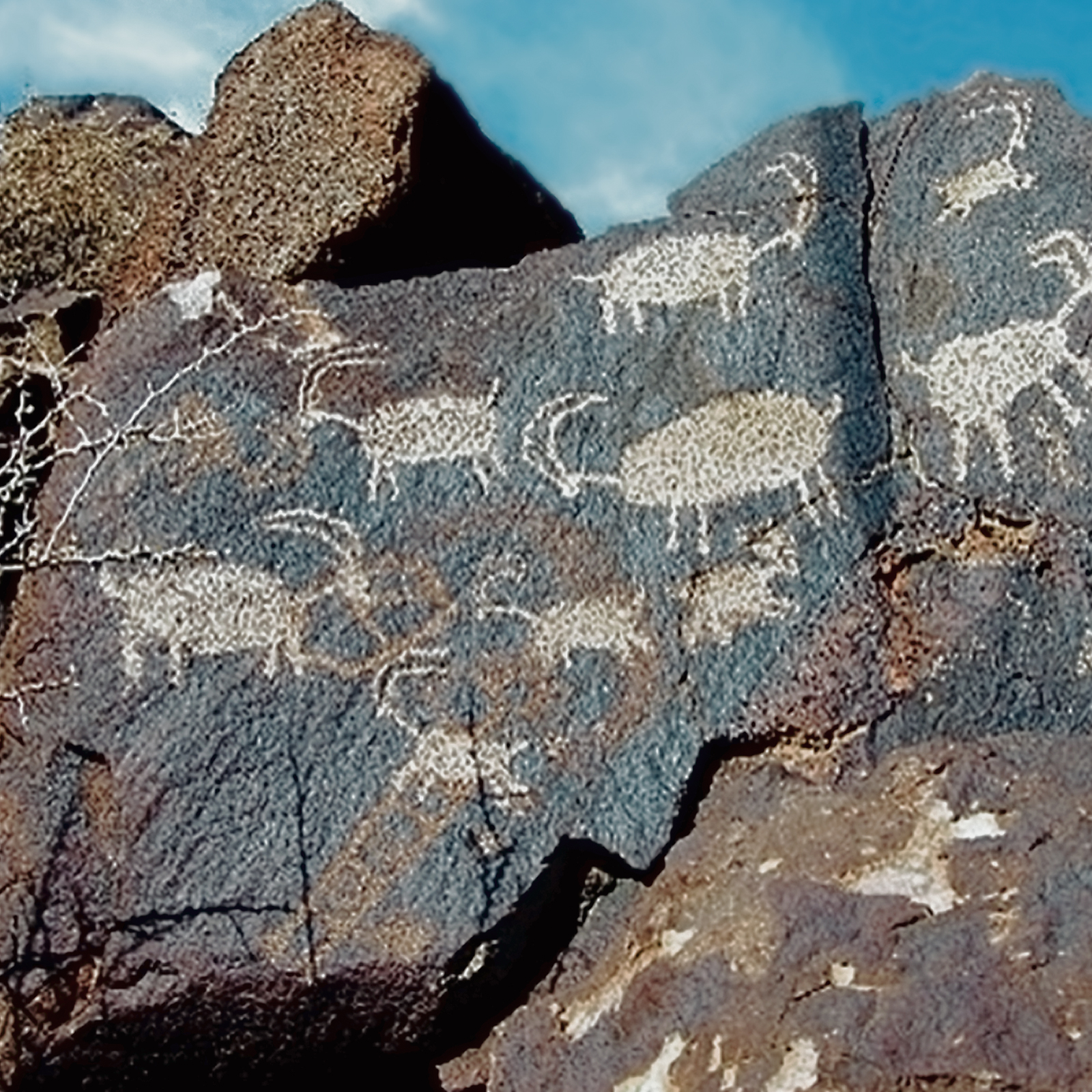 Rock Art Engravings Coso Range Petroglyphs Pictographs Bradshaw Foundation Archaeology Sheep Bighorn Cult California USA America United States Rockart