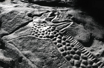 African Rock Art Africa Archaeology Petroglyphs