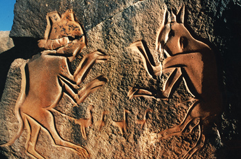 African Rock Art Africa Archaeology Petroglyphs