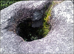 El Salvador Rock Art