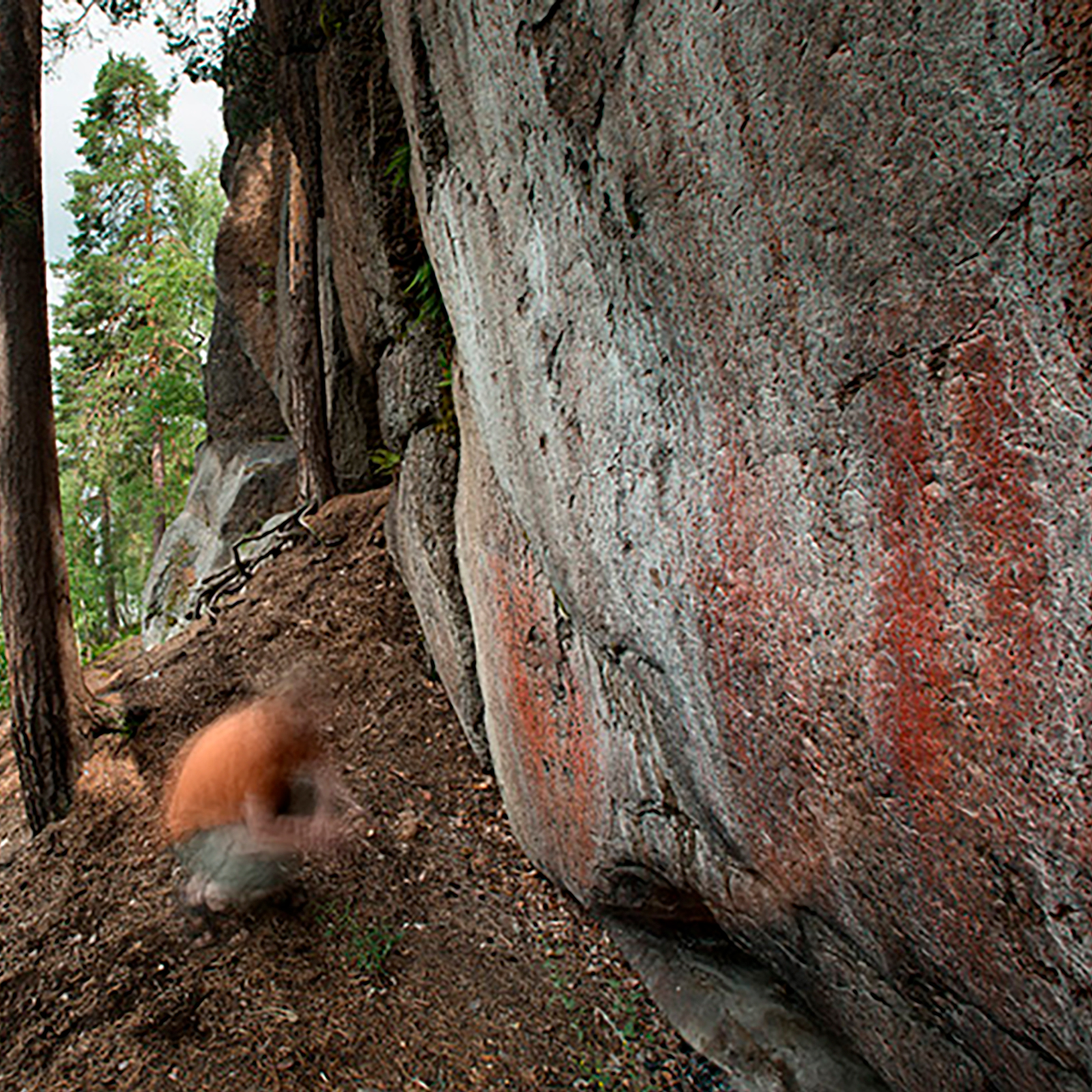 Pakanavuori, Kouvola Rock Art Finland Scandinavia Scandinavian Archaeology