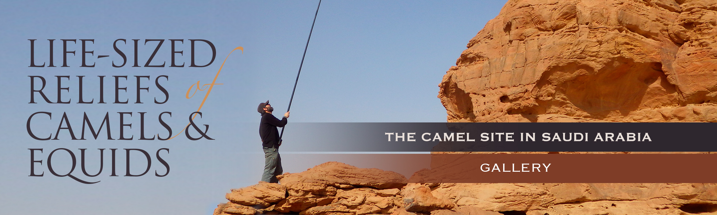 Life-sized reliefs of camels and equids: The Camel Site in Saudi Arabia