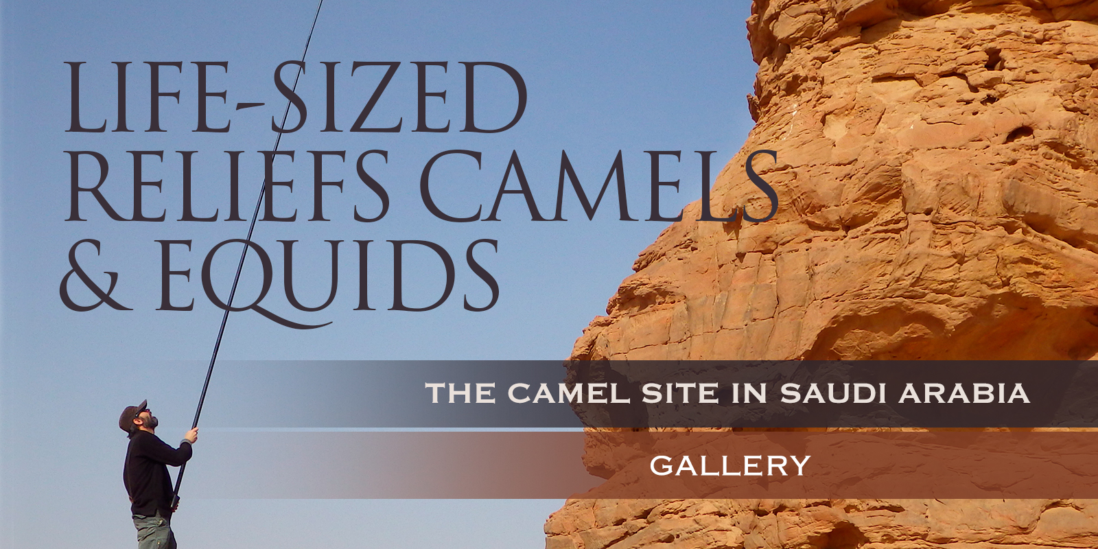 Life-sized reliefs of camels and equids: The Camel Site in Saudi Arabia