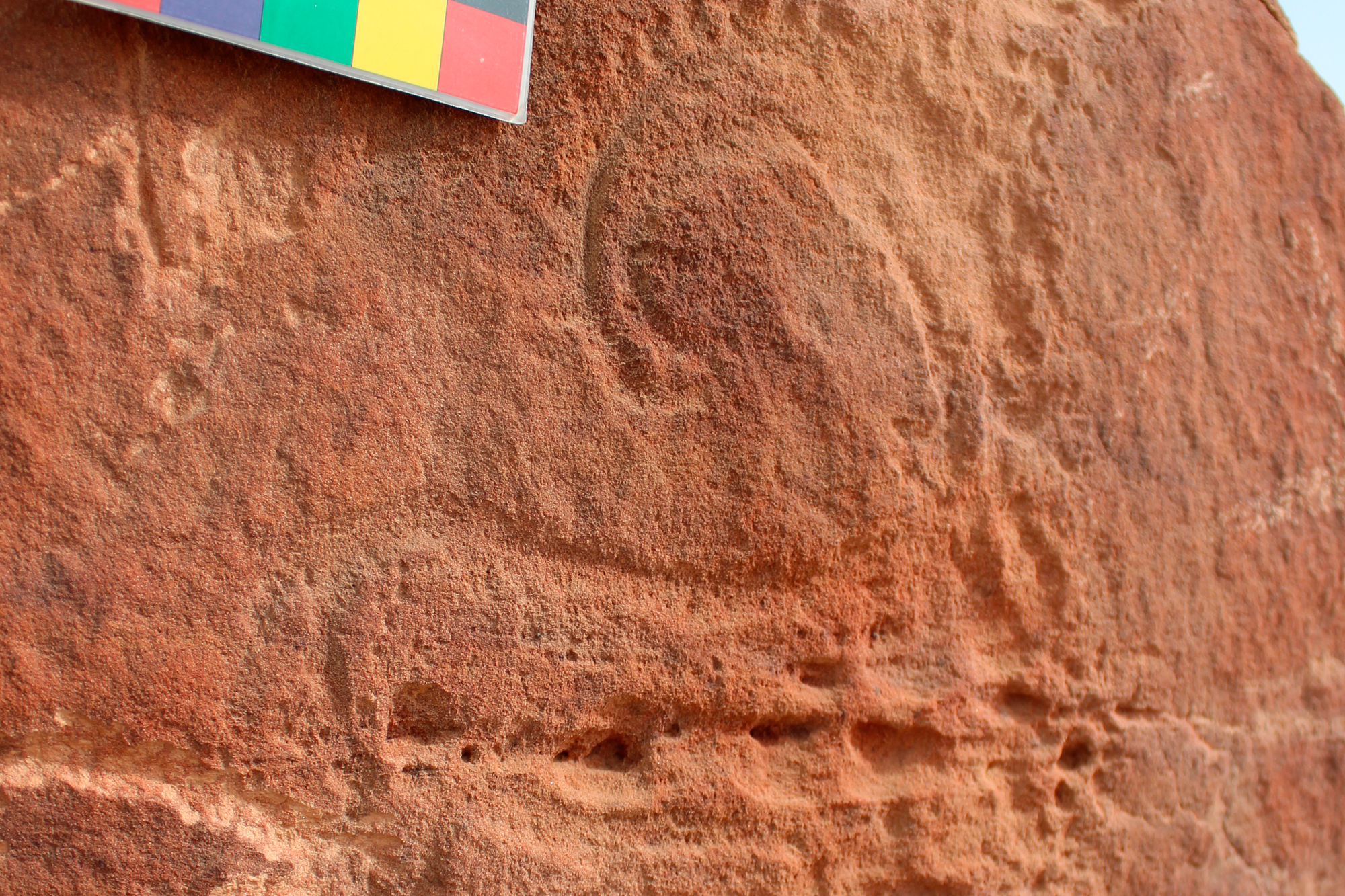 Rock Art Saudi Arabia Camel Equids Site Animal Reliefs Jawf Province Sakâkâ Nabataean