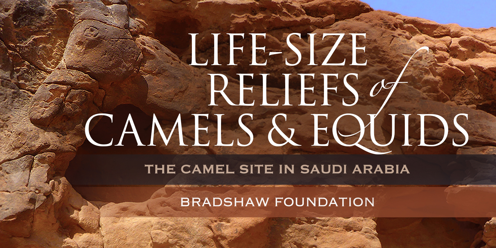 Life-sized reliefs of camels and equids: The Camel Site in Saudi Arabia