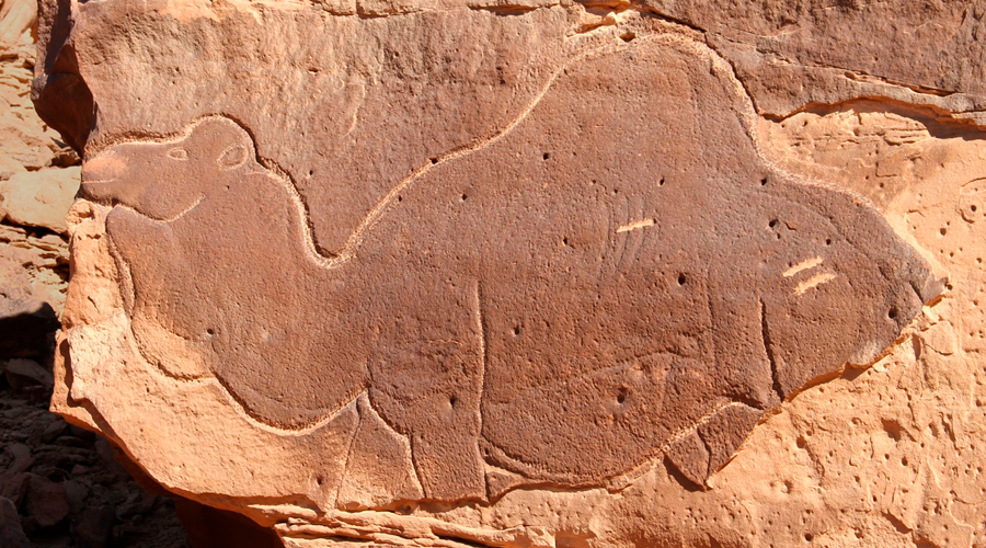 Life-sized reliefs of camels and equids: The Camel Site in Saudi Arabia