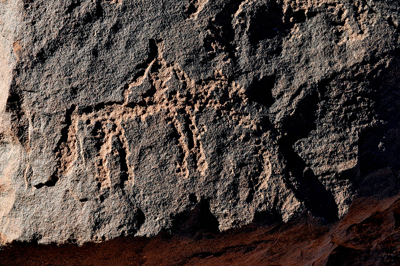 The Arabian Horse in Saudi Arabia Rock Art