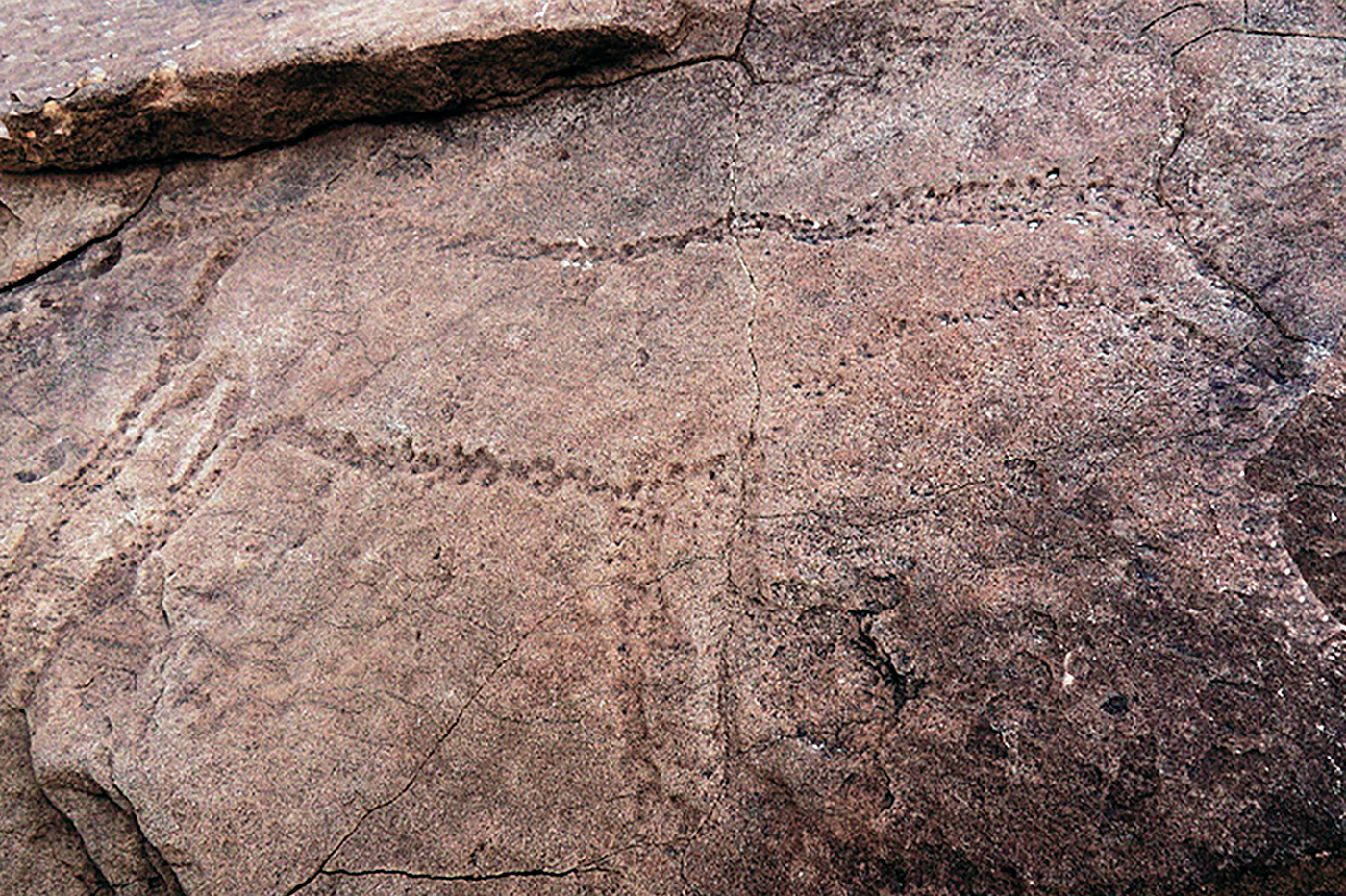 Prehistoric Art Nomadic History Development Rock Art Saudi Arabia Dr Majeed Khan Bradshaw Foundation