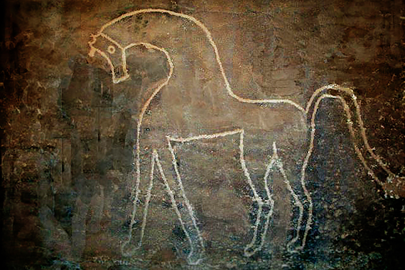 Prehistoric Art Nomadic History Development Rock Art Saudi Arabia Dr Majeed Khan Bradshaw Foundation