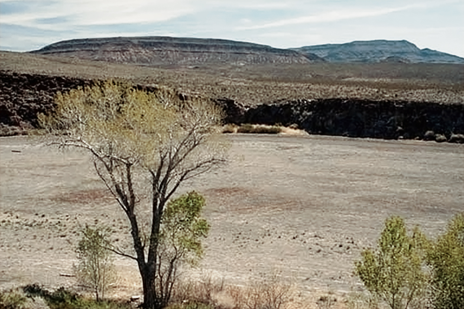 Black Canyon Pahranagat Project Nevada Rock Art America United States USA Foundation Bradshaw Foundation