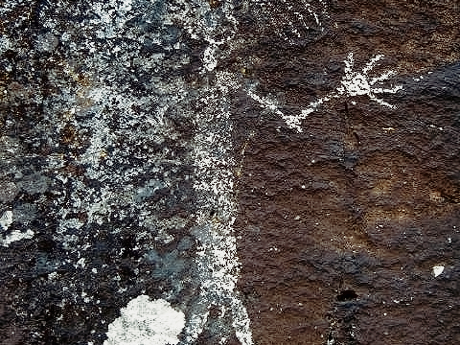 Rock Art Oregon Territory North High Rim Petroglyphs Pictographs Bradshaw Foundation Archaeology