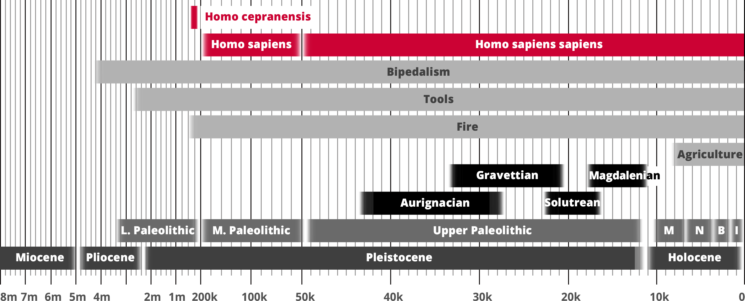 Homo cepranensis