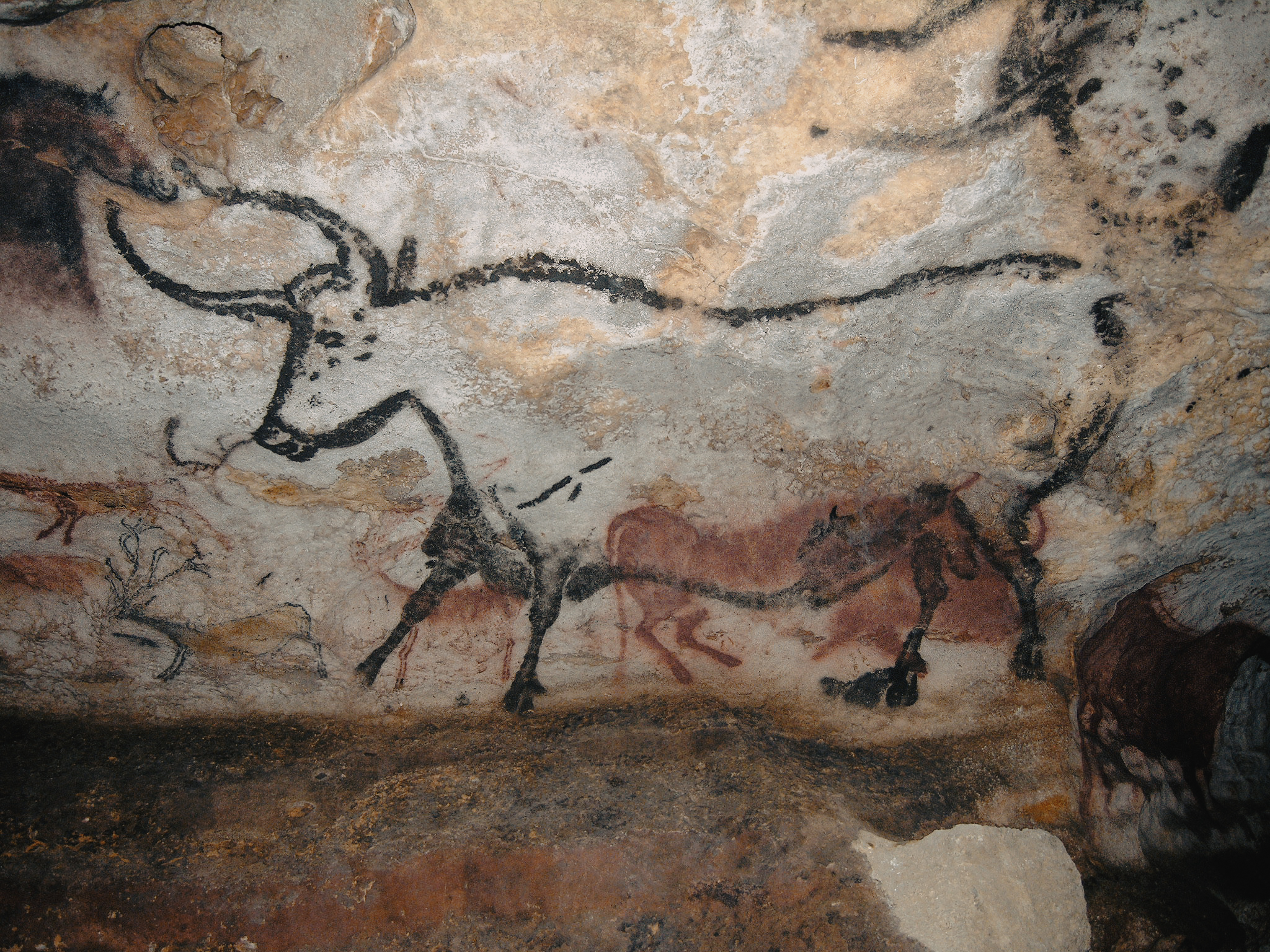 Cave paintings of Lascaux in France