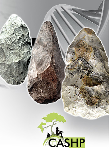 Origins Oldowan Stone Tools