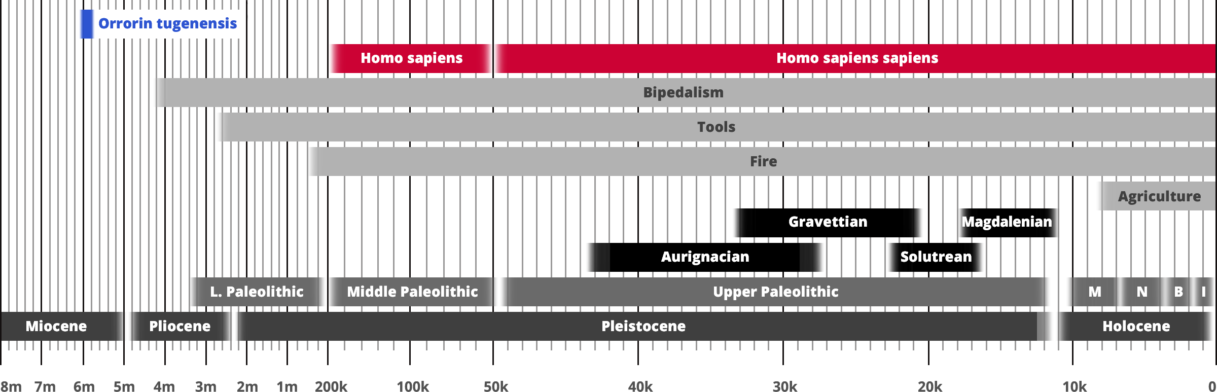 Orrorin tugenensis