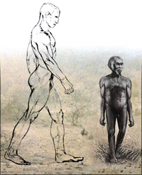 Homo floresiensis