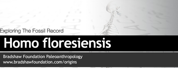 Homo floresiensis