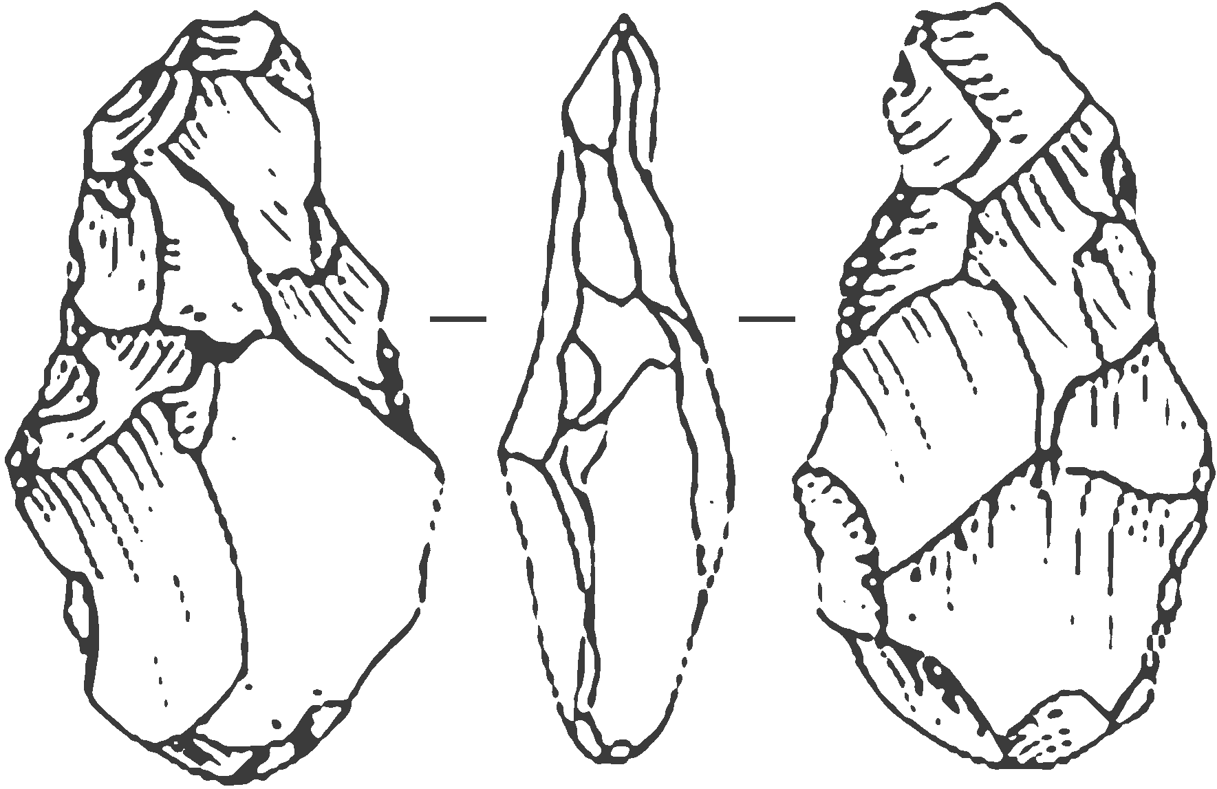 Early Acheulean handaxe from Sterkfontein Cave