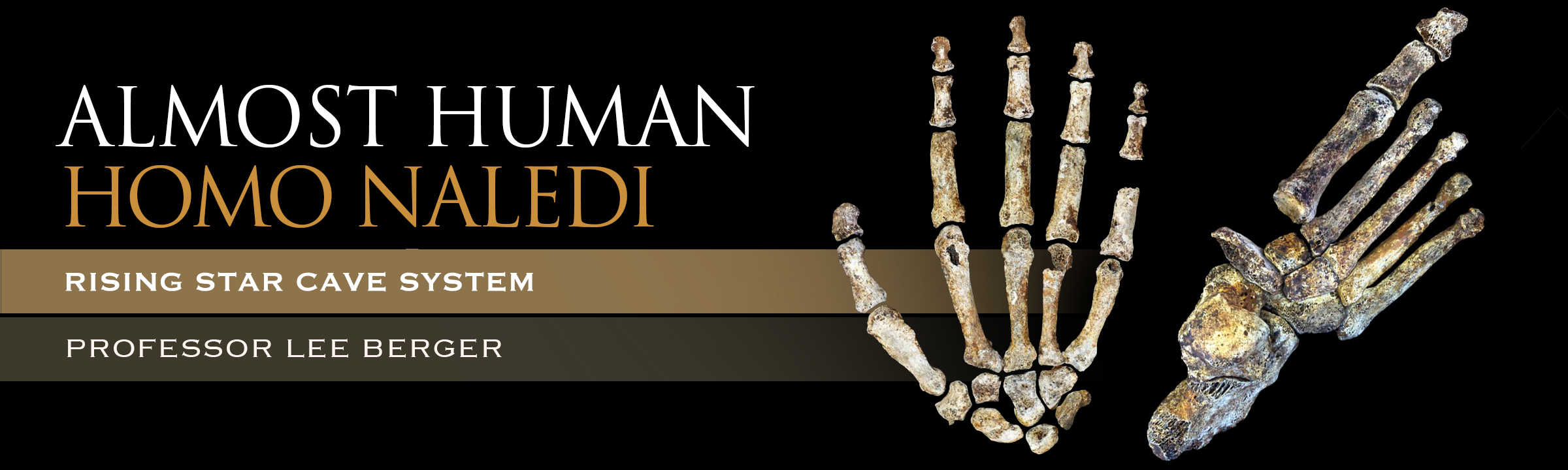 Homo naledi - Rising Star Cave