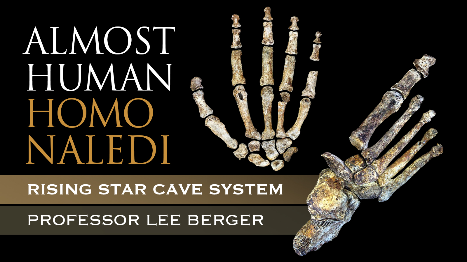 Homo naledi - Rising Star Cave