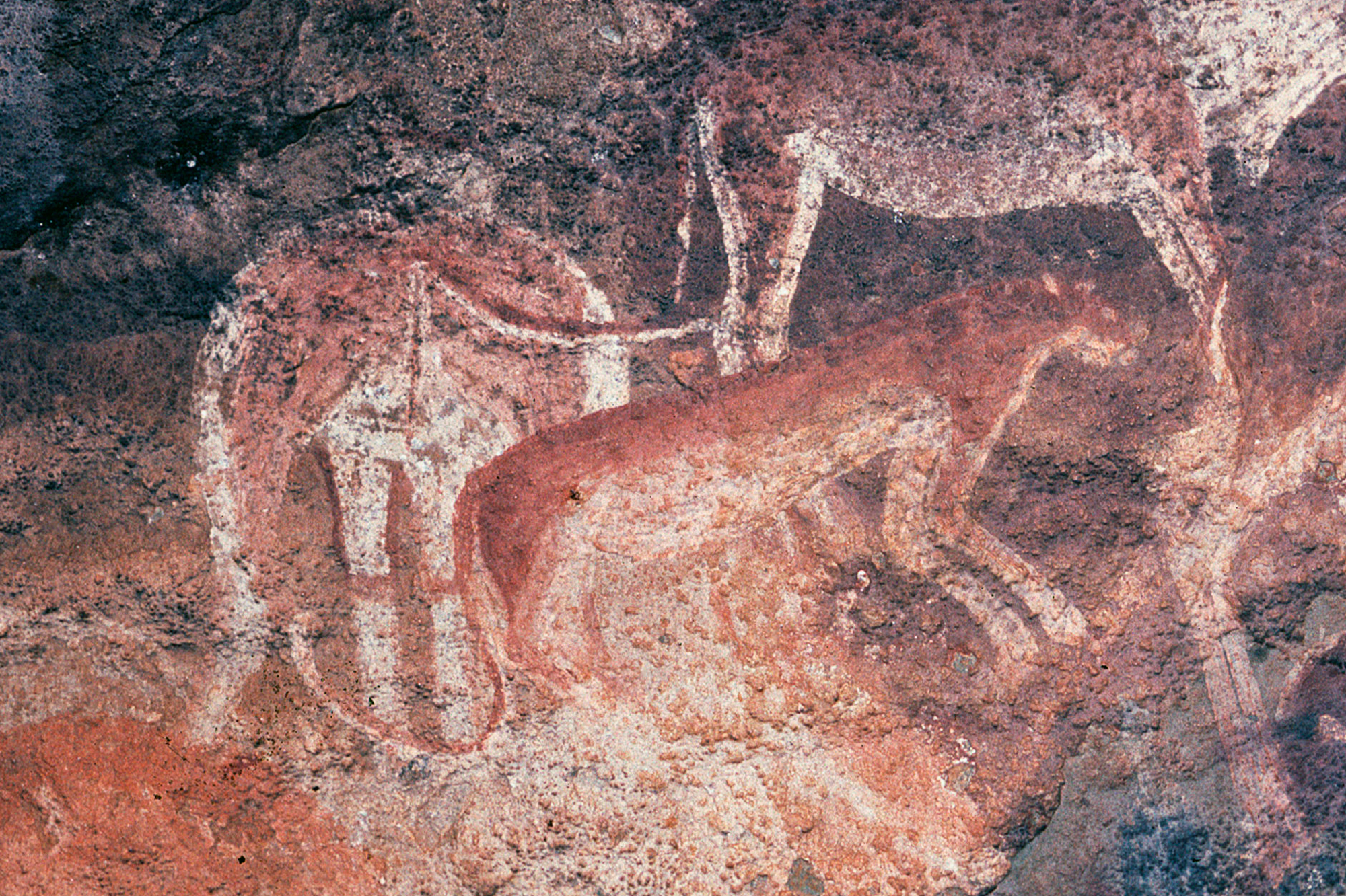 Didima Gorge Rock Art South Africa African San hunter-gatherer uKhahlamba-Drakensberg Paintings Southern Shelters Rock Art Network Bradshaw Foundation