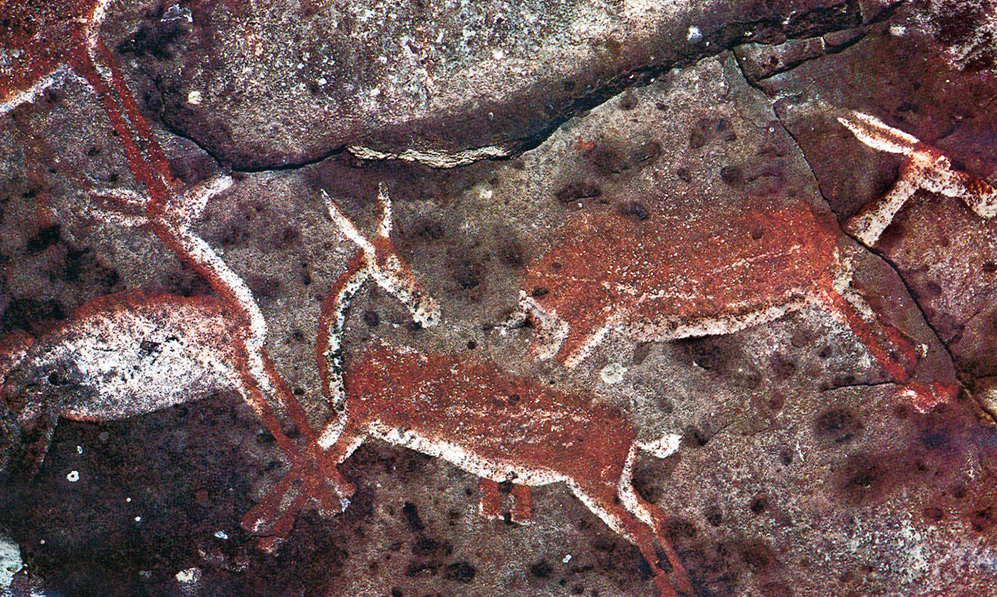 Animals Rock Art Africa African Rock Art Network Bradshaw Foundation