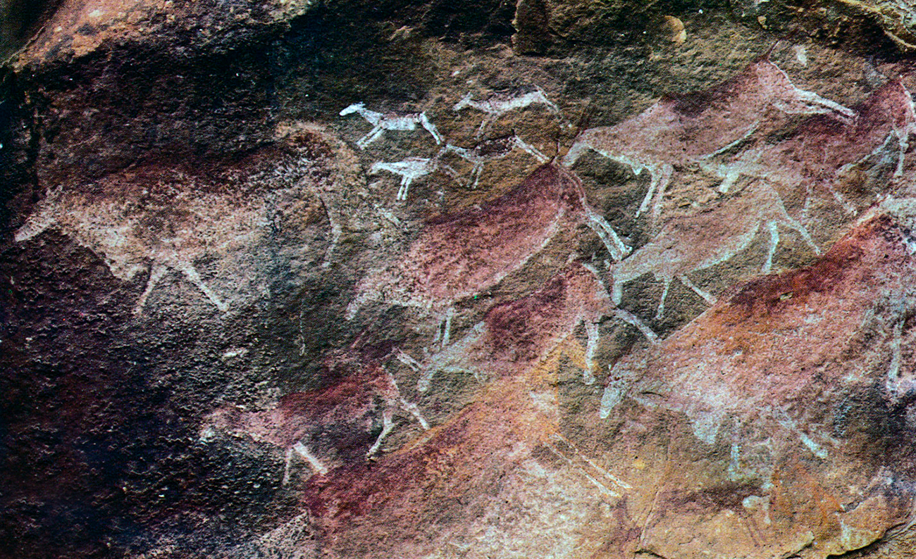 Animals Rock Art Africa African Rock Art Network Bradshaw Foundation