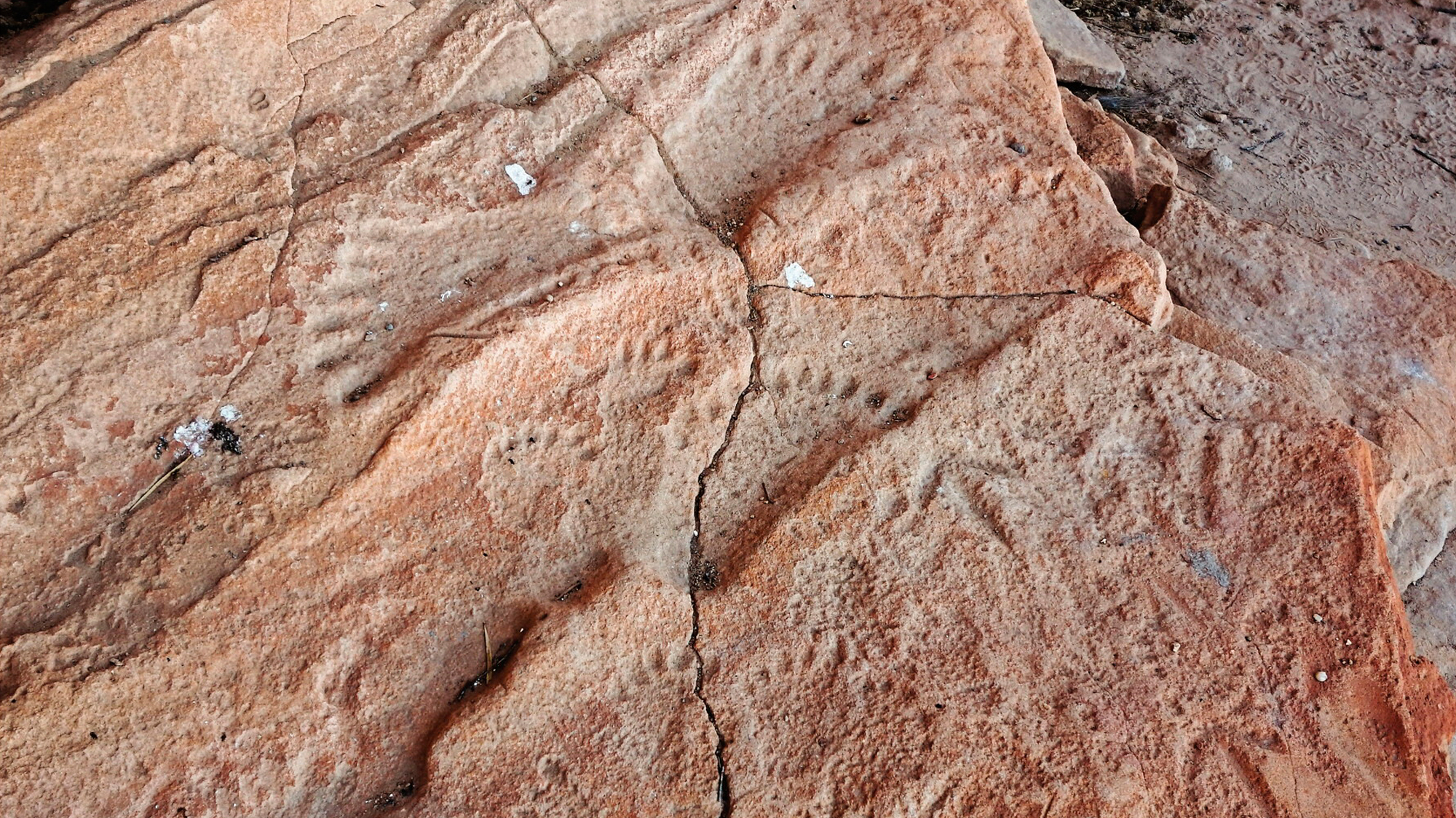 Case-hardened floor surface with 19 engraved human-like feet with varying numbers of toes, along with other designs