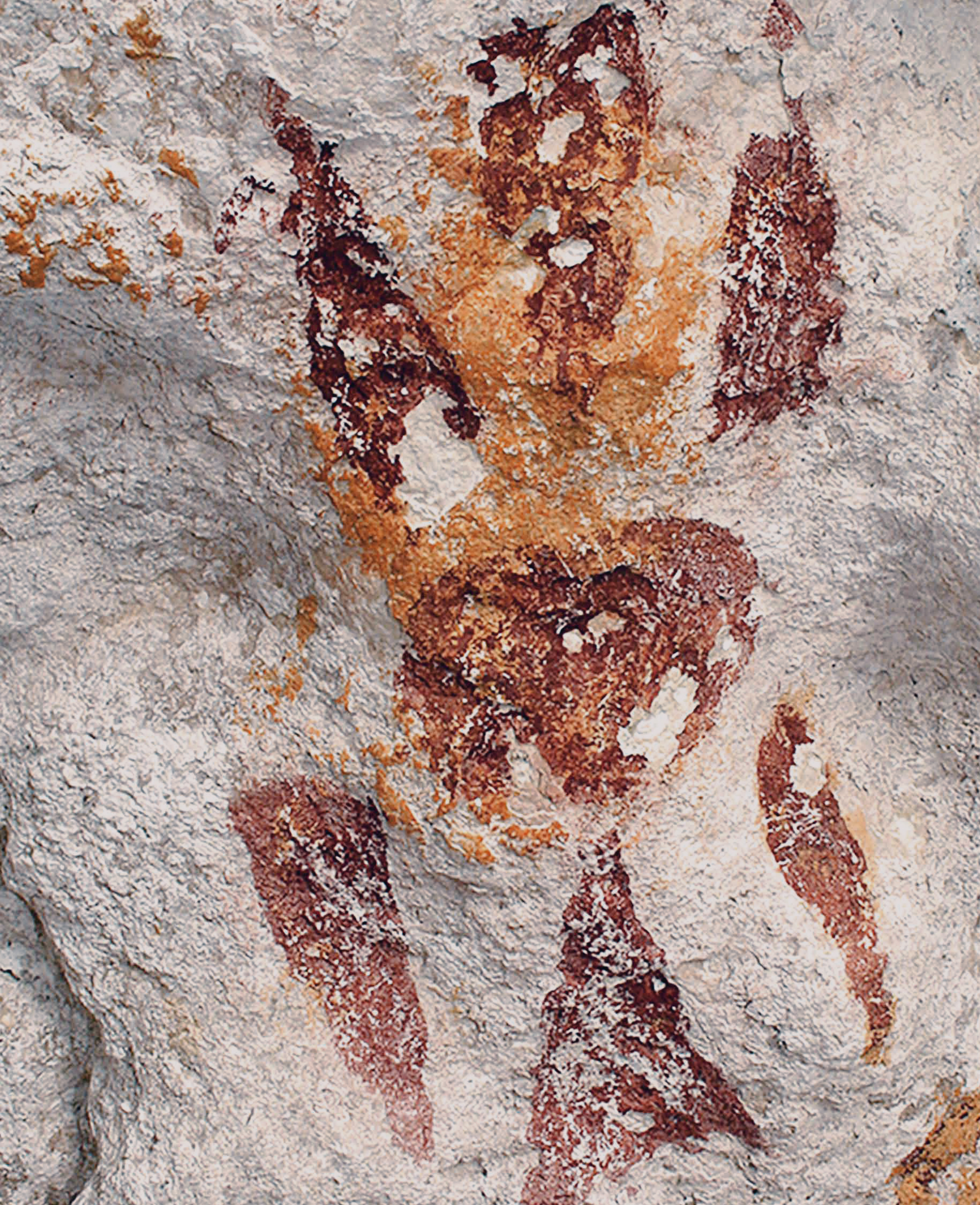 Rock Art Palau Micronesia The yellow substance found only at Olechukl Ears Ulong may be paint made from yellow ochre  Yellow was painted on top of, or later than, the red figure