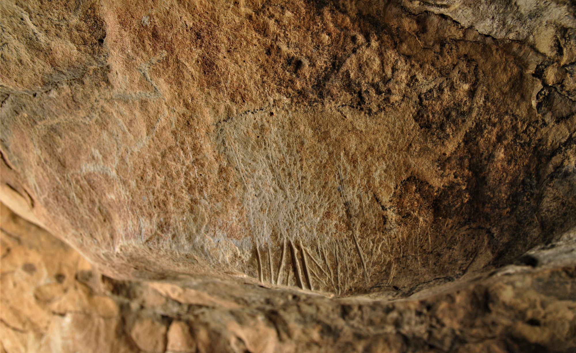 Original image showing an engraved bovine with later tooling marks covering the lower section of the body