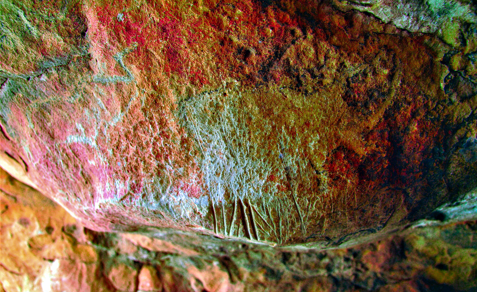 D-Stretched image showing an engraved bovine with later tooling marks covering the lower section of the body