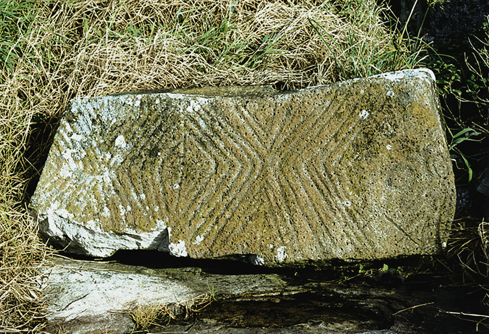 Rock Art Petroglyphs Arvoredo Island Santa Catarina Brazil Archaeology