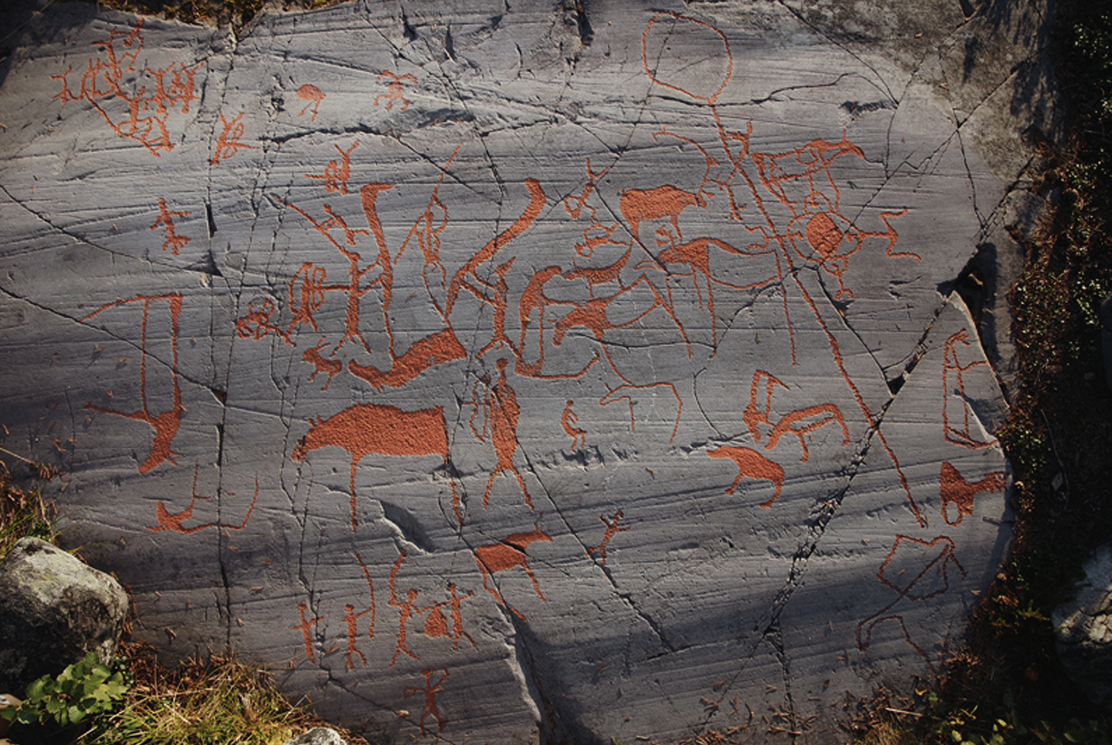 Ole Pedersen Rock Art Alta Norway UNESCO World Heritage Museum