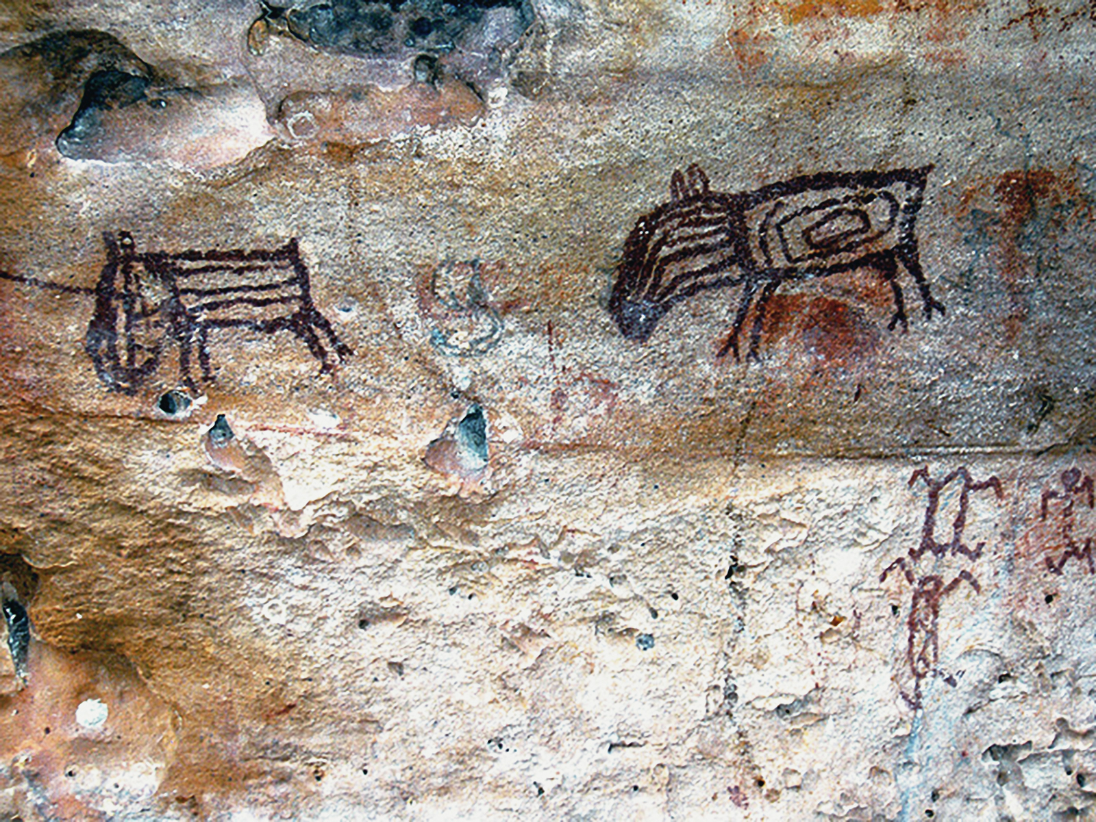 Rock Art Serra da Capivara National Park Brazil Pedra Furada Archaeology World Heritage Site