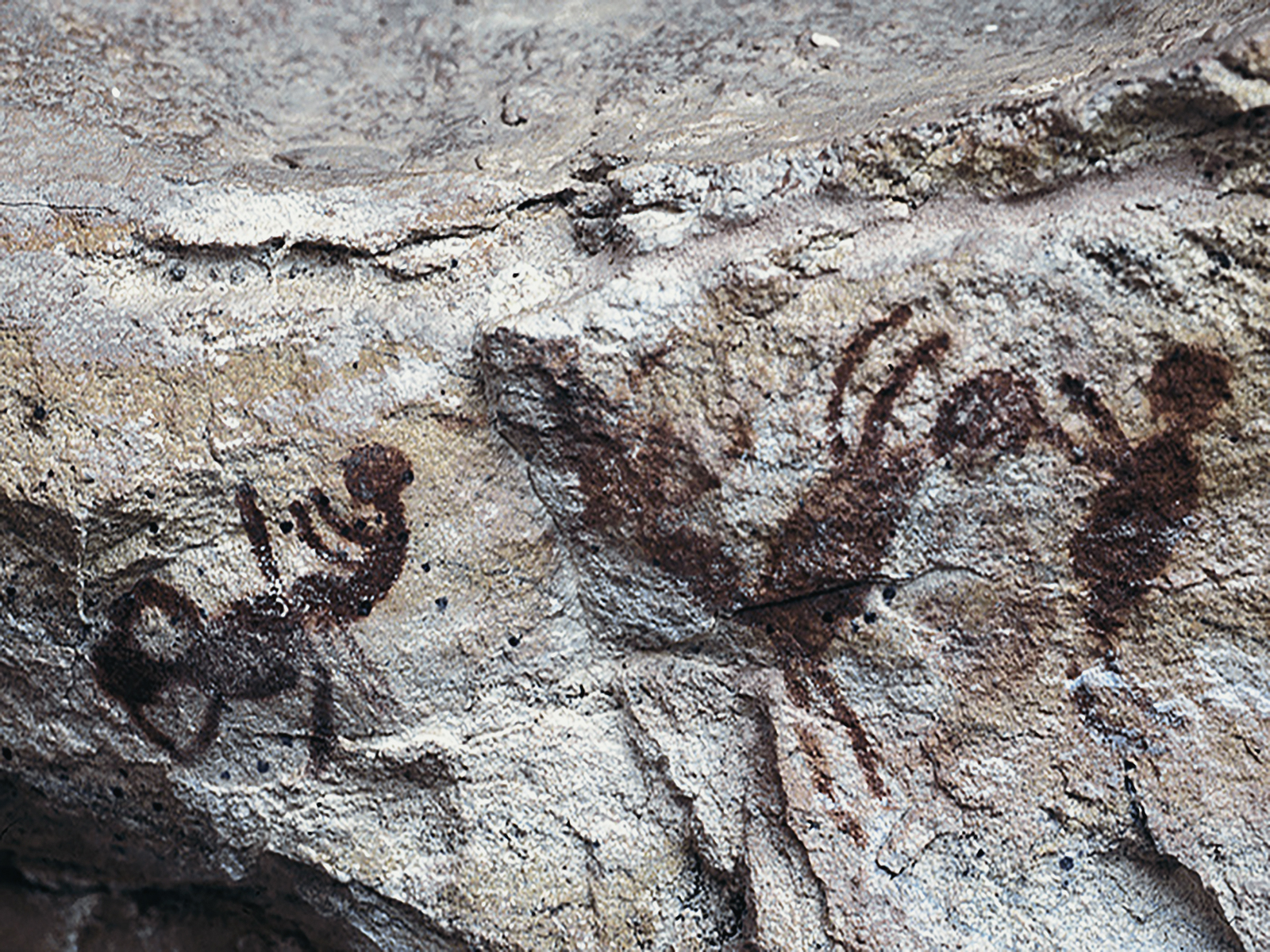 Rock Art Serra da Capivara National Park Brazil Pedra Furada Archaeology World Heritage Site