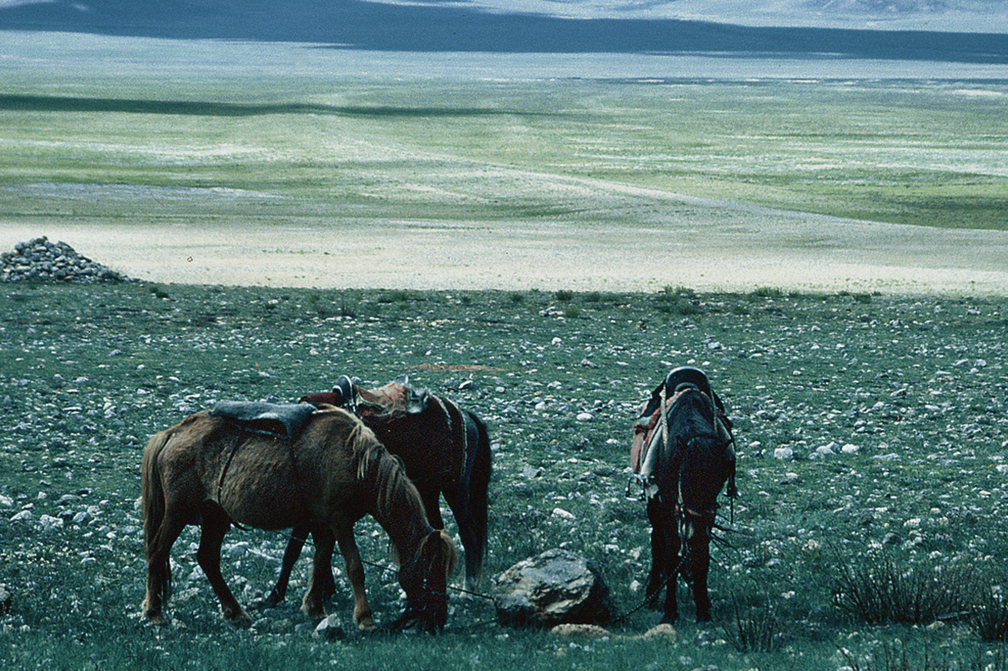 Tibet Lake Namtso Sacred Pilgrimage Rock Art Caves Cave Paintings Petroglyphs Archaeology Culture