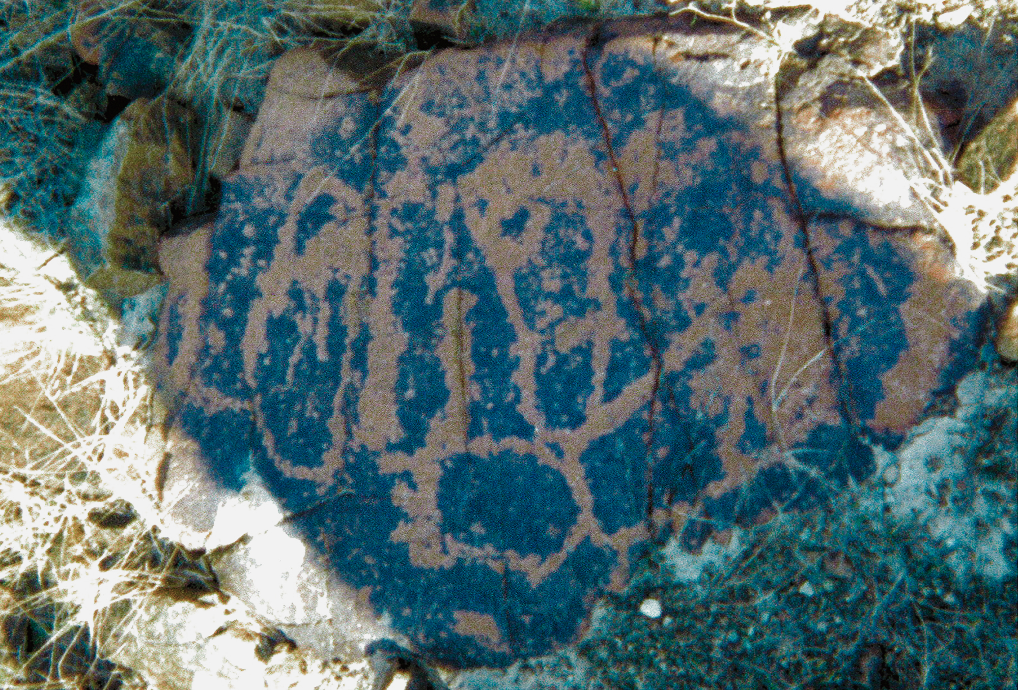 Hajar Mountains Rock Art